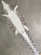 画像1: ヒマラヤクロコダイル　ナチュラル　35　ワニ革　ナイルクロコダイル　クロコダイル革　エキゾチックレザー (1)