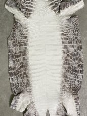 画像5: ヒマラヤクロコダイル　ナチュラル　35　ワニ革　ナイルクロコダイル　クロコダイル革　エキゾチックレザー (5)