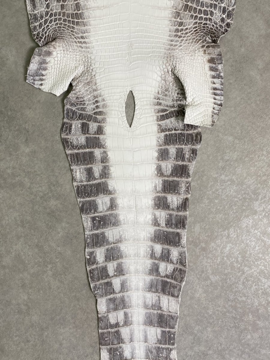 画像6: ヒマラヤクロコダイル　ナチュラル　35　ワニ革　ナイルクロコダイル　クロコダイル革　エキゾチックレザー (6)