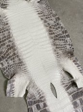 画像4: ヒマラヤクロコダイル　ナチュラル　35　ワニ革　ナイルクロコダイル　クロコダイル革　エキゾチックレザー (4)