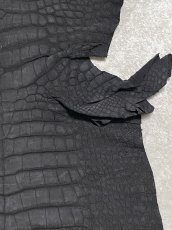 画像4: クロコダイル　 吟スリ　ブラック　53cm　鰐革　ワニ革 (4)