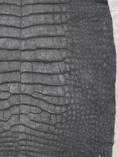 画像7: クロコダイル　 吟スリ　ブラック　53cm　鰐革　ワニ革 (7)