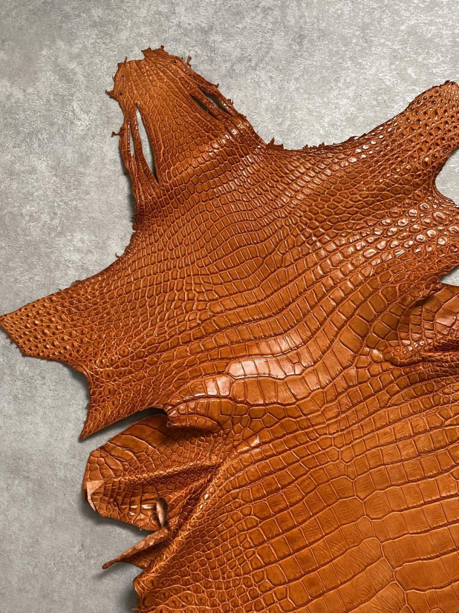 画像2: スモールクロコダイル　オレンジ　44　ポロサス　ワニ革　クロコダイル革　 (2)