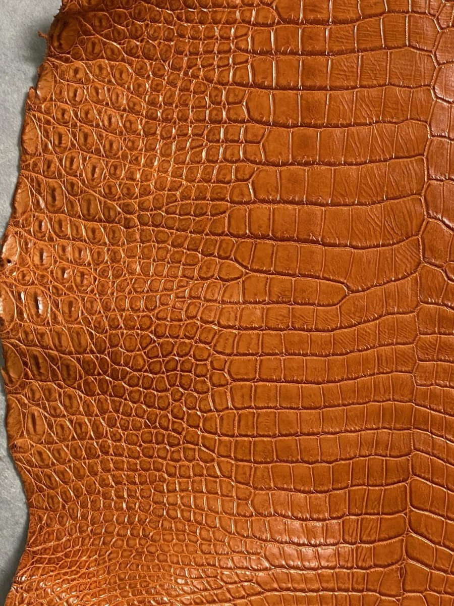 画像4: スモールクロコダイル　オレンジ　44　ポロサス　ワニ革　クロコダイル革　 (4)