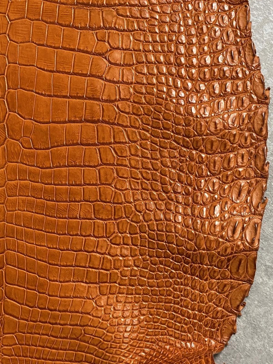 画像5: スモールクロコダイル　オレンジ　44　ポロサス　ワニ革　クロコダイル革　 (5)
