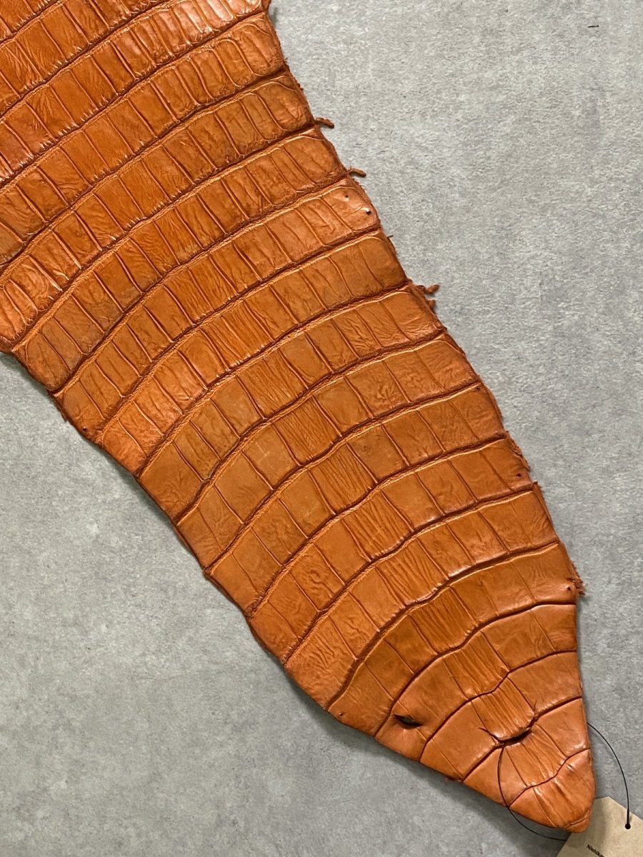 画像7: スモールクロコダイル　オレンジ　44　ポロサス　ワニ革　クロコダイル革　 (7)