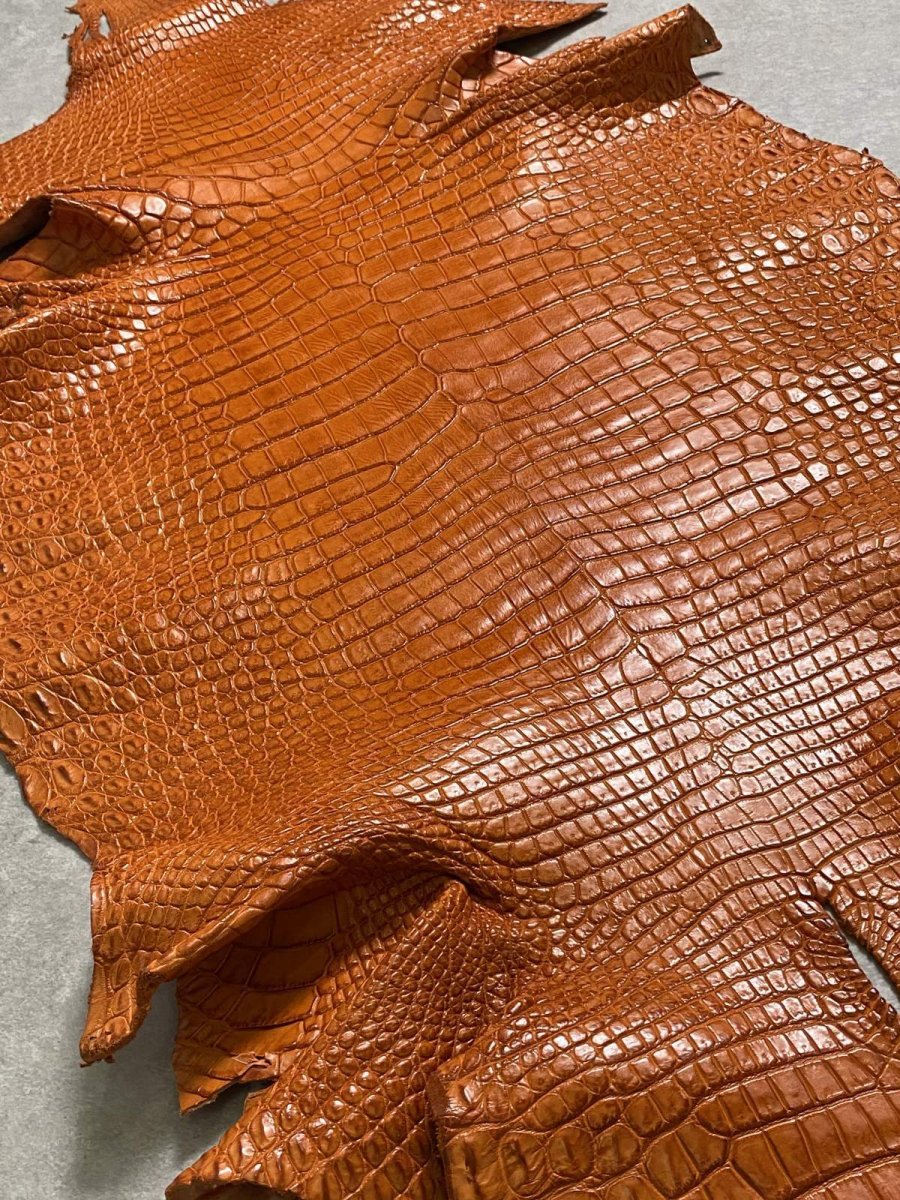 画像9: スモールクロコダイル　オレンジ　44　ポロサス　ワニ革　クロコダイル革　 (9)