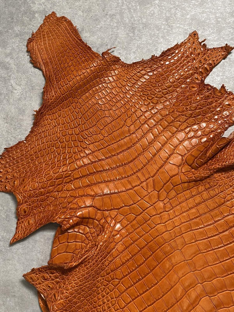 画像2: スモールクロコダイル　オレンジ　45　ポロサス　ワニ革　クロコダイル革　 (2)