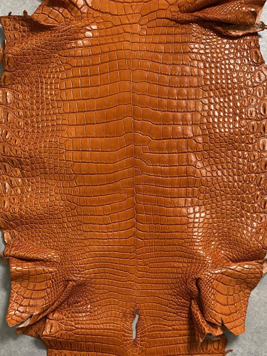 画像3: スモールクロコダイル　オレンジ　45　ポロサス　ワニ革　クロコダイル革　 (3)