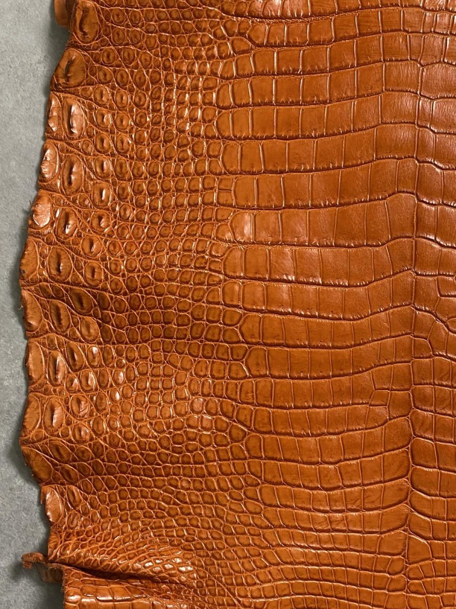 画像4: スモールクロコダイル　オレンジ　45　ポロサス　ワニ革　クロコダイル革　 (4)