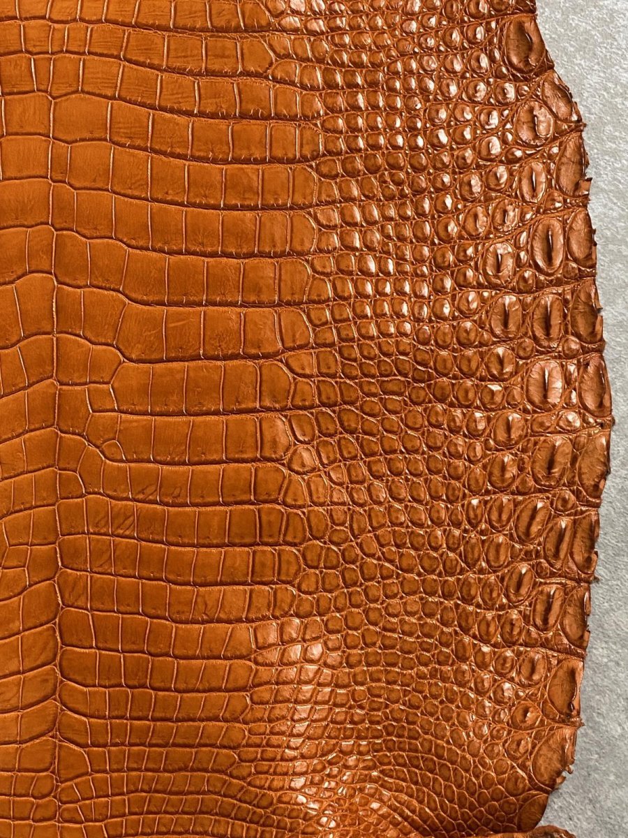 画像5: スモールクロコダイル　オレンジ　45　ポロサス　ワニ革　クロコダイル革　 (5)