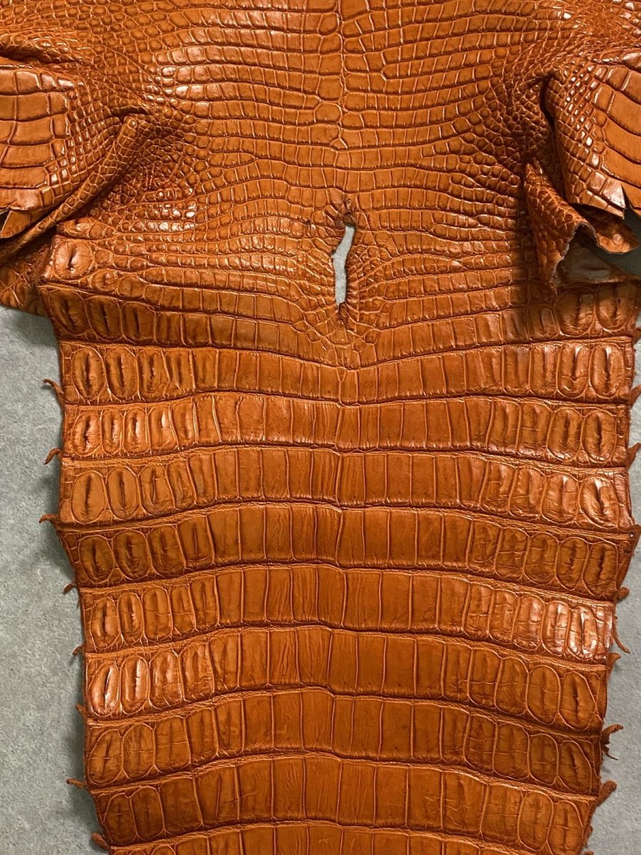 画像6: スモールクロコダイル　オレンジ　45　ポロサス　ワニ革　クロコダイル革　 (6)