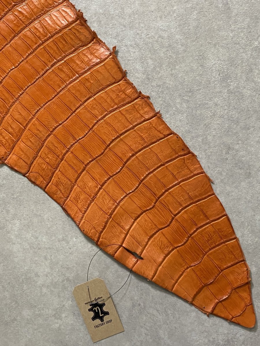 画像7: スモールクロコダイル　オレンジ　45　ポロサス　ワニ革　クロコダイル革　 (7)