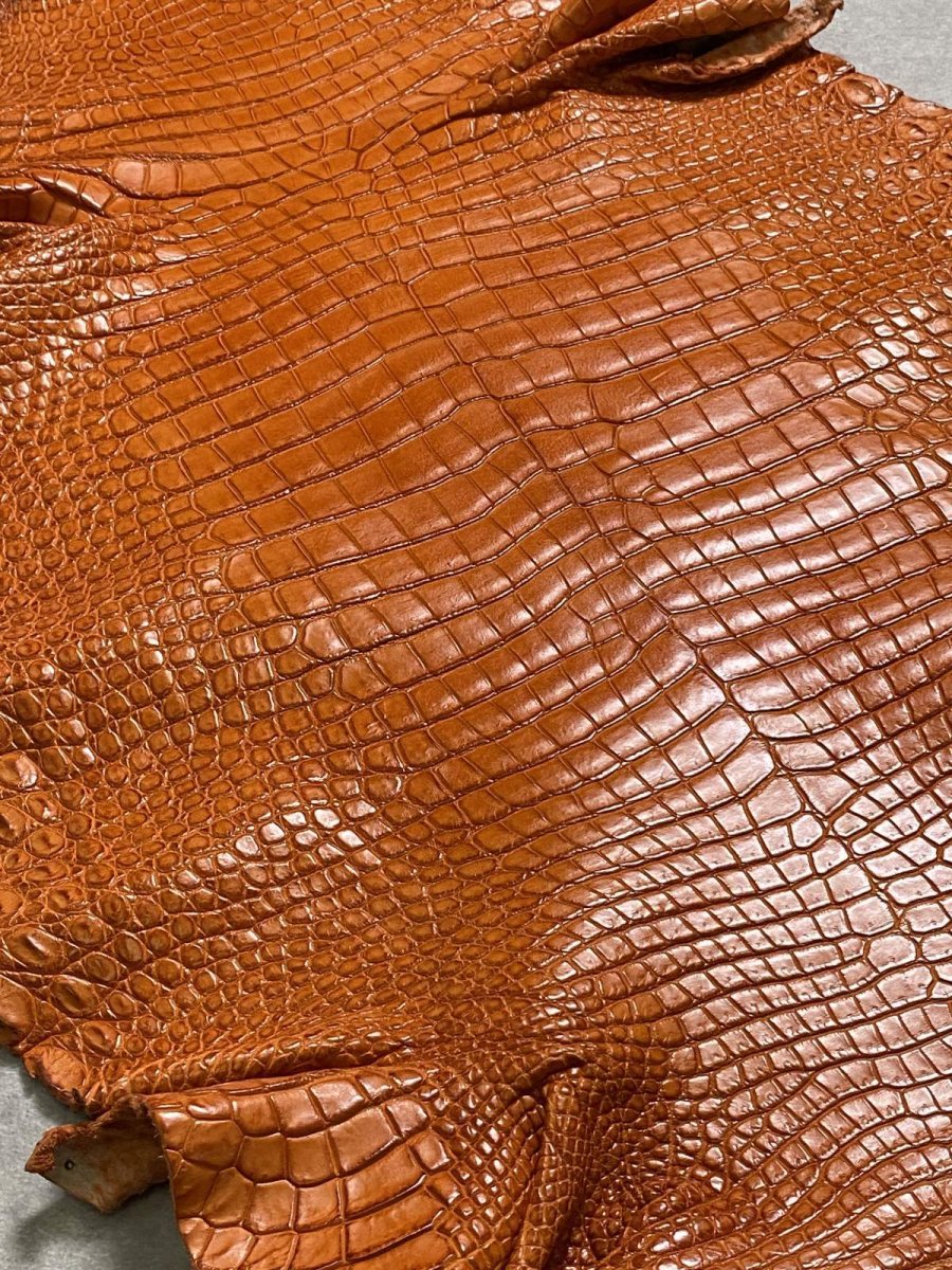 画像8: スモールクロコダイル　オレンジ　45　ポロサス　ワニ革　クロコダイル革　 (8)