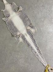 画像1: ヒマラヤクロコダイル　ナチュラル　27　ワニ革　ナイルクロコダイル　クロコダイル革　エキゾチックレザー (1)
