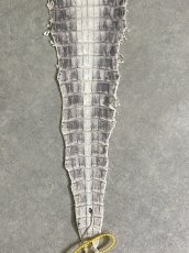 画像8: ヒマラヤクロコダイル　ナチュラル　27　ワニ革　ナイルクロコダイル　クロコダイル革　エキゾチックレザー (8)