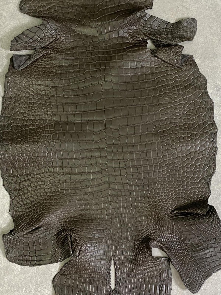 画像4: スモールクロコダイル　ポロサス　グレー　32　ワニ革　鰐革 (4)
