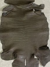 画像4: スモールクロコダイル　ポロサス　グレー　32　ワニ革　鰐革 (4)