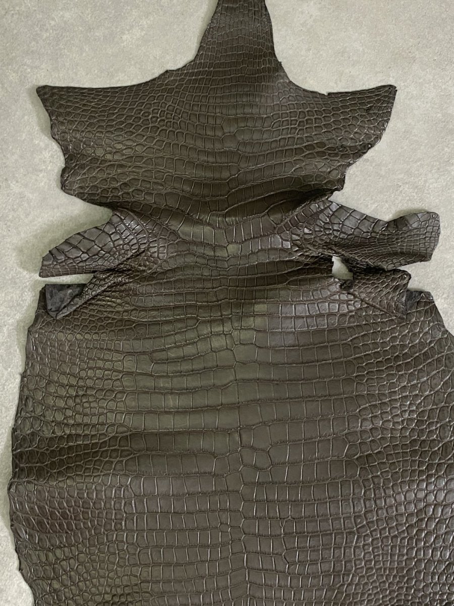 画像3: スモールクロコダイル　ポロサス　グレー　32　ワニ革　鰐革 (3)