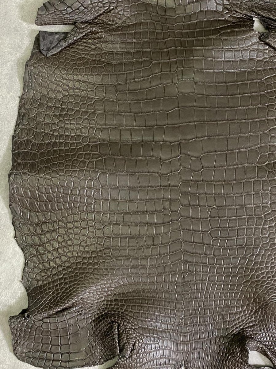 画像5: スモールクロコダイル　ポロサス　グレー　32　ワニ革　鰐革 (5)