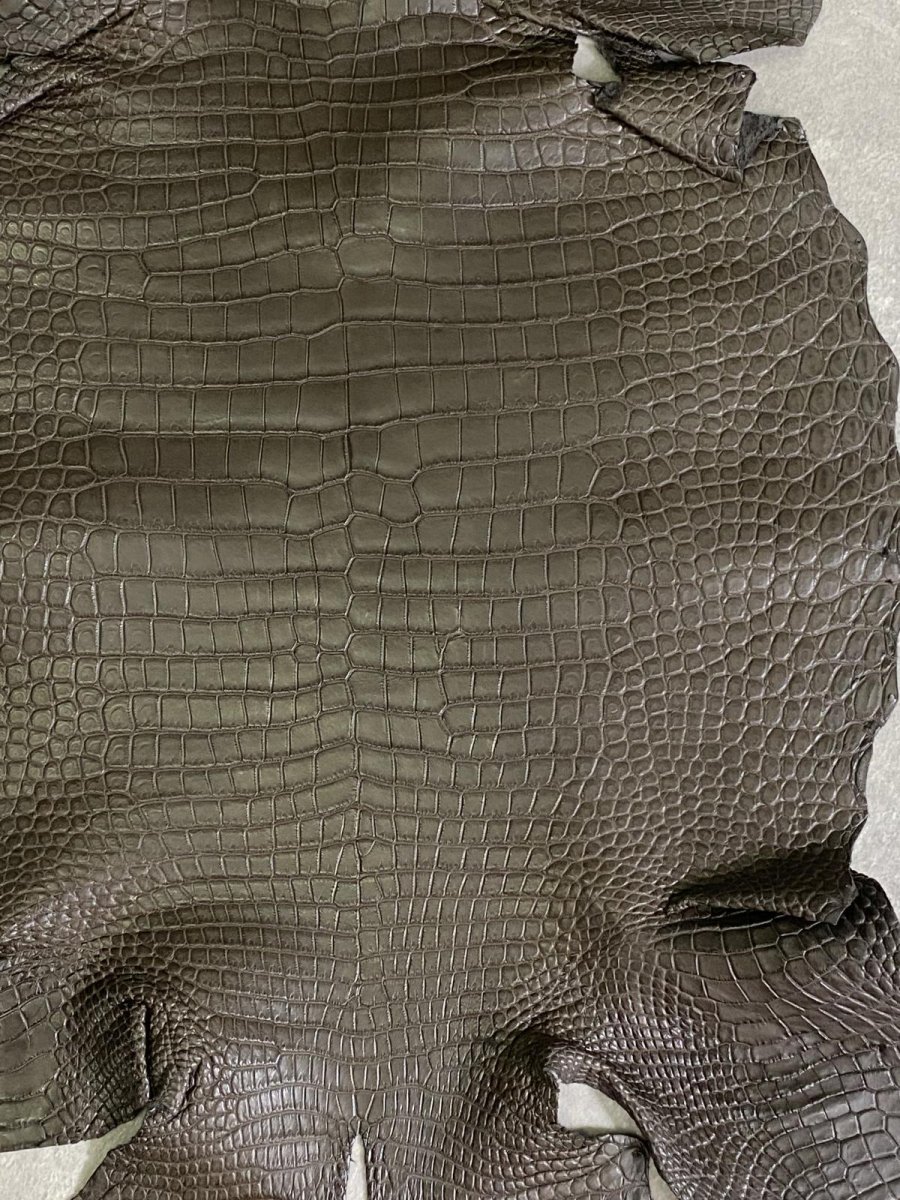 画像6: スモールクロコダイル　ポロサス　グレー　32　ワニ革　鰐革 (6)