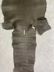 画像7: スモールクロコダイル　ポロサス　グレー　32　ワニ革　鰐革 (7)