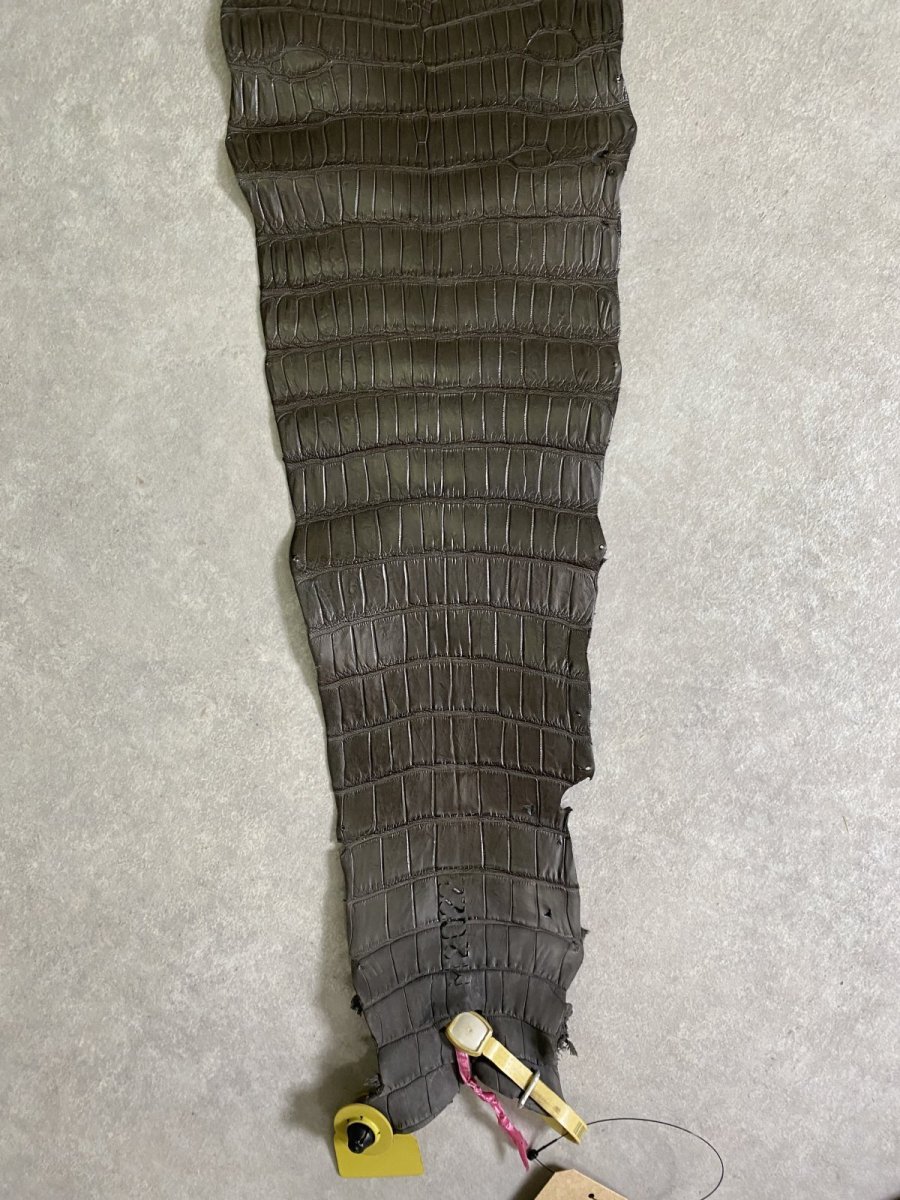 画像8: スモールクロコダイル　ポロサス　グレー　32　ワニ革　鰐革 (8)