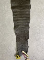 画像8: スモールクロコダイル　ポロサス　グレー　32　ワニ革　鰐革 (8)