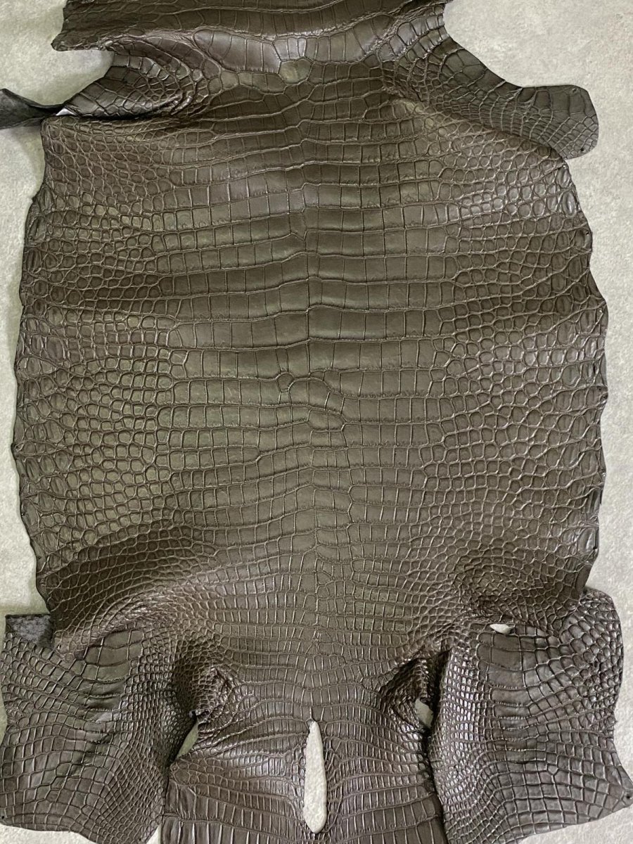 画像3: スモールクロコダイル　ポロサス　グレー　32　ワニ革　鰐革 (3)