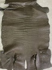 画像3: スモールクロコダイル　ポロサス　グレー　32　ワニ革　鰐革 (3)