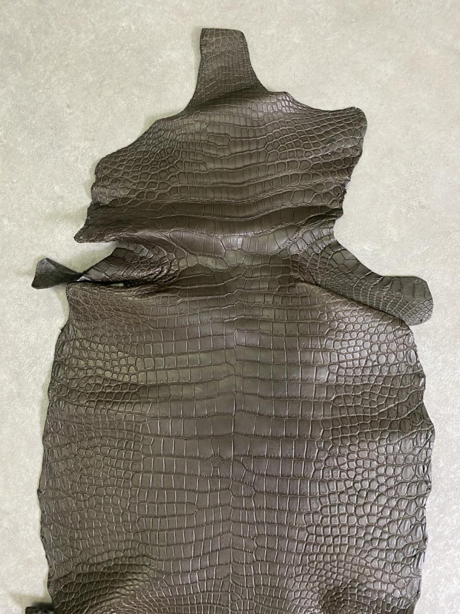 画像4: スモールクロコダイル　ポロサス　グレー　32　ワニ革　鰐革 (4)