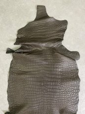 画像4: スモールクロコダイル　ポロサス　グレー　32　ワニ革　鰐革 (4)