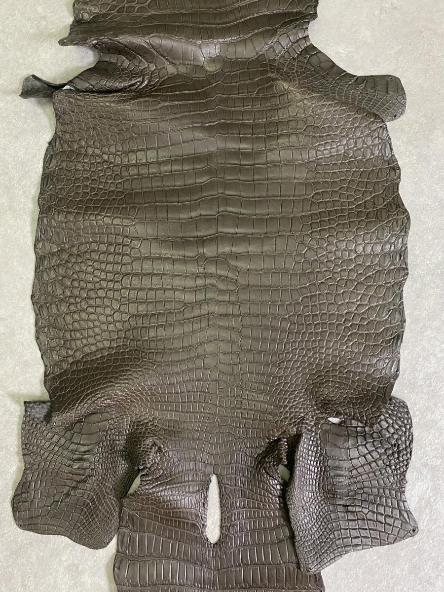 画像5: スモールクロコダイル　ポロサス　グレー　32　ワニ革　鰐革 (5)