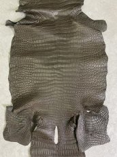 画像5: スモールクロコダイル　ポロサス　グレー　32　ワニ革　鰐革 (5)