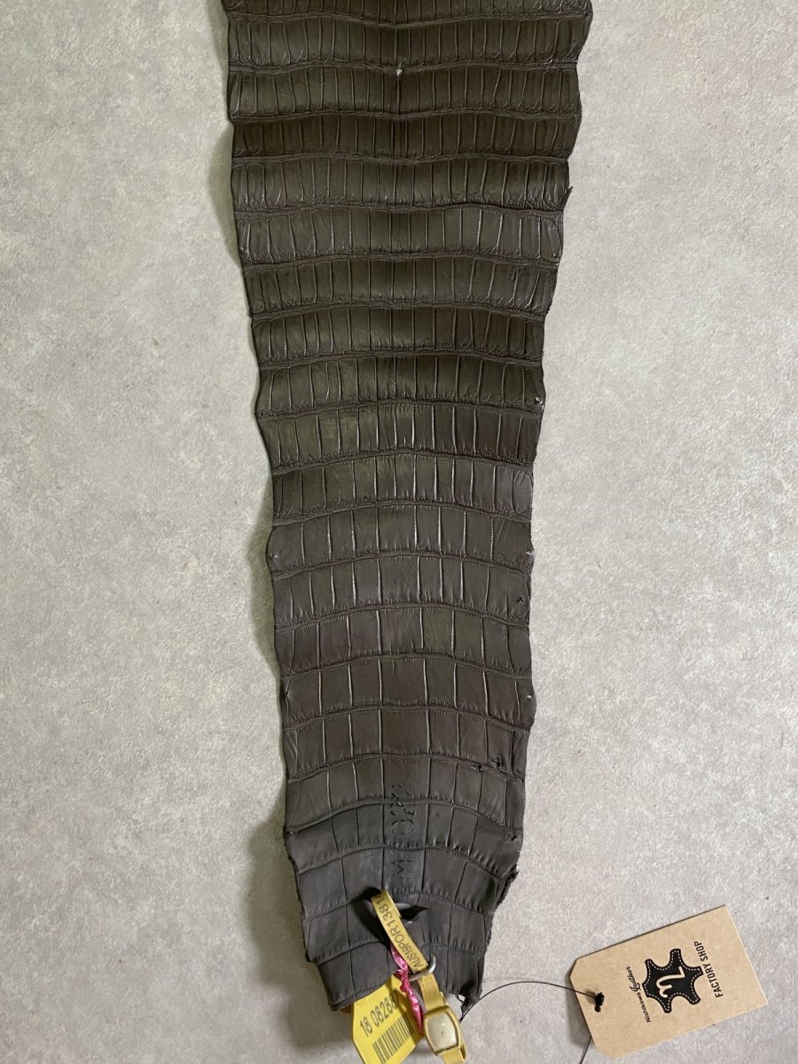 画像7: スモールクロコダイル　ポロサス　グレー　32　ワニ革　鰐革 (7)