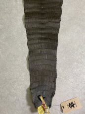 画像7: スモールクロコダイル　ポロサス　グレー　32　ワニ革　鰐革 (7)