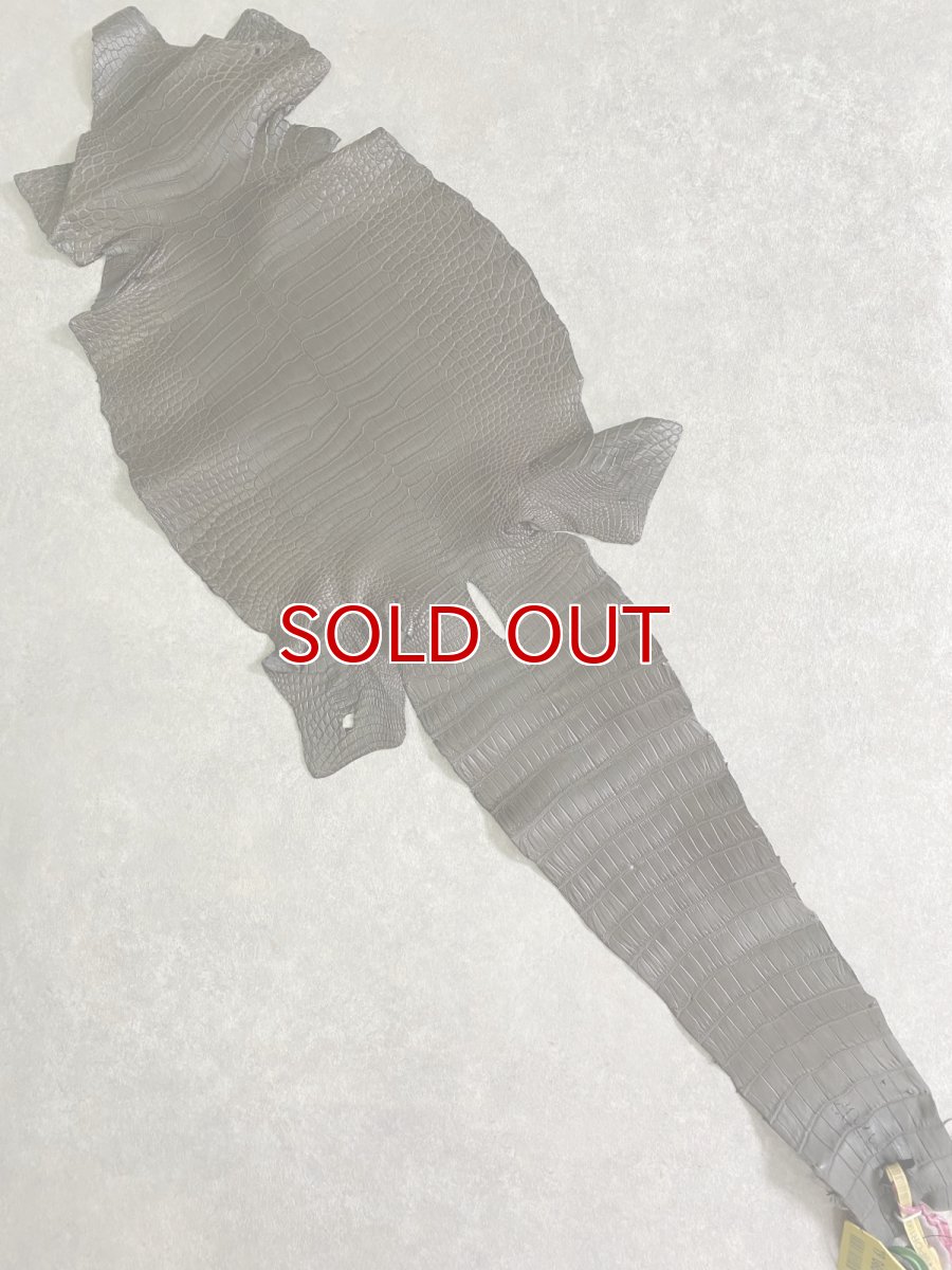 画像1: スモールクロコダイル　ポロサス　グレー　30　ワニ革　鰐革 (1)