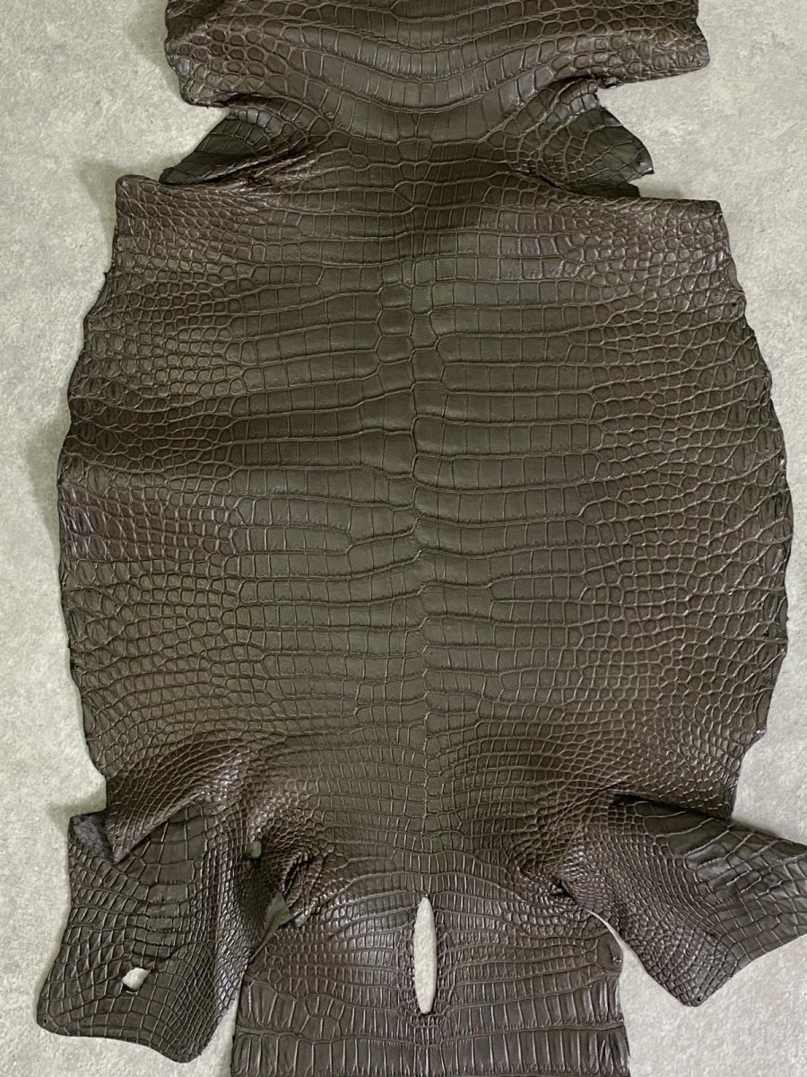画像2: スモールクロコダイル　ポロサス　グレー　30　ワニ革　鰐革 (2)