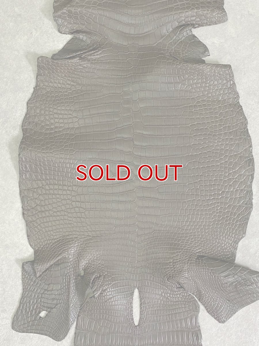 画像2: スモールクロコダイル　ポロサス　グレー　30　ワニ革　鰐革 (2)
