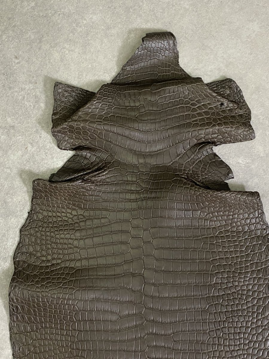 画像3: スモールクロコダイル　ポロサス　グレー　30　ワニ革　鰐革 (3)