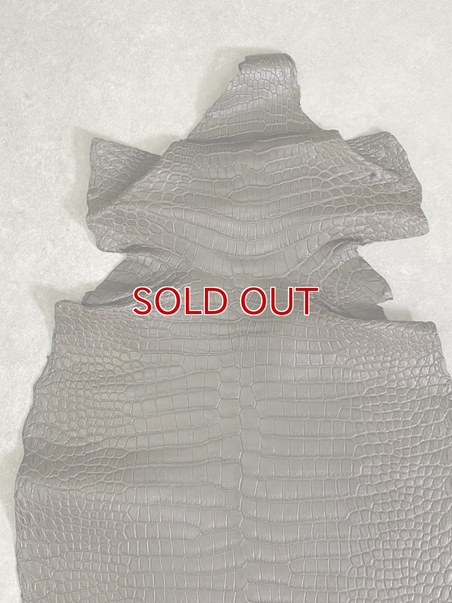 画像3: スモールクロコダイル　ポロサス　グレー　30　ワニ革　鰐革 (3)