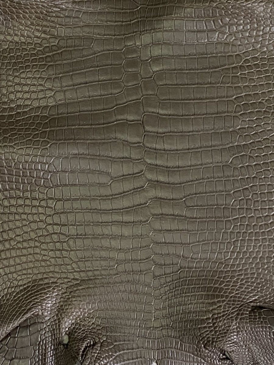 画像4: スモールクロコダイル　ポロサス　グレー　30　ワニ革　鰐革 (4)