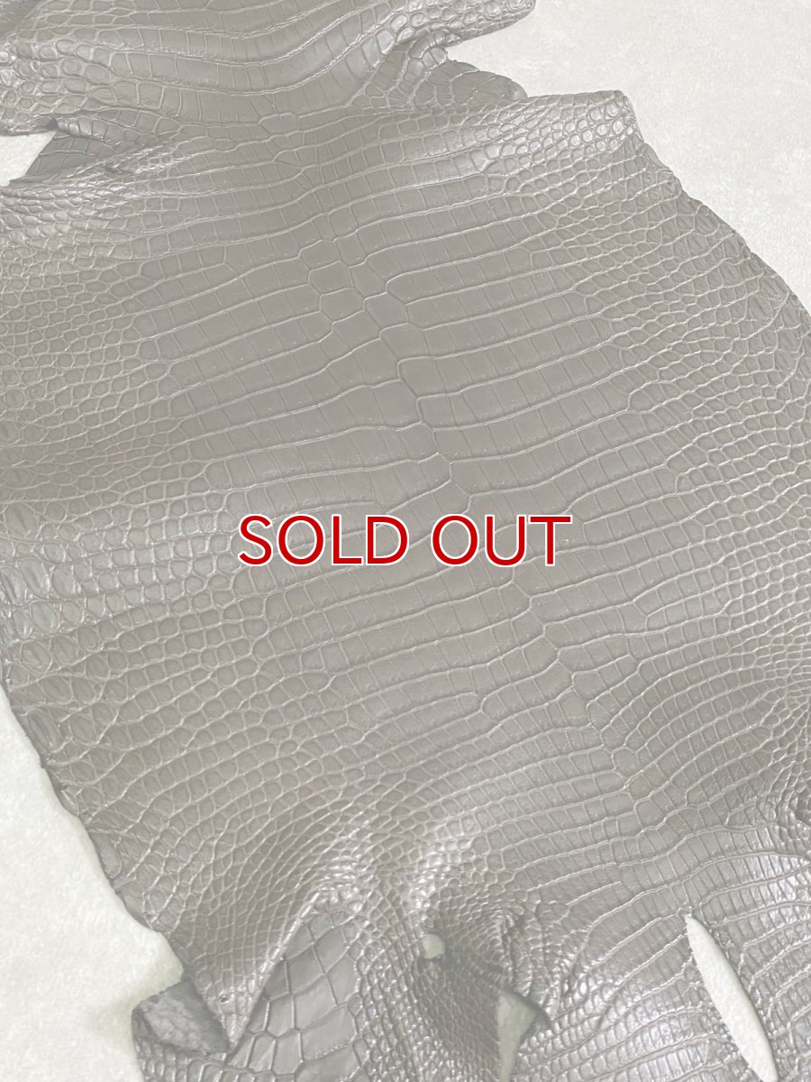 画像5: スモールクロコダイル　ポロサス　グレー　30　ワニ革　鰐革 (5)
