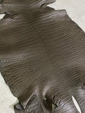 画像5: スモールクロコダイル　ポロサス　グレー　30　ワニ革　鰐革 (5)