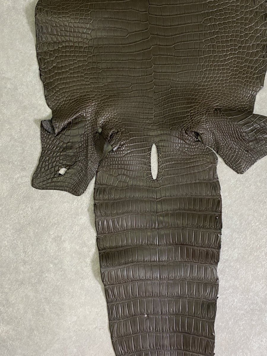 画像6: スモールクロコダイル　ポロサス　グレー　30　ワニ革　鰐革 (6)