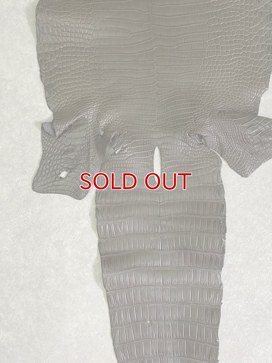 画像6: スモールクロコダイル　ポロサス　グレー　30　ワニ革　鰐革 (6)