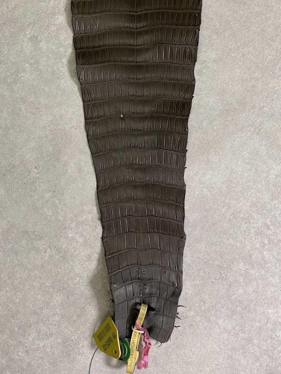 画像7: スモールクロコダイル　ポロサス　グレー　30　ワニ革　鰐革 (7)