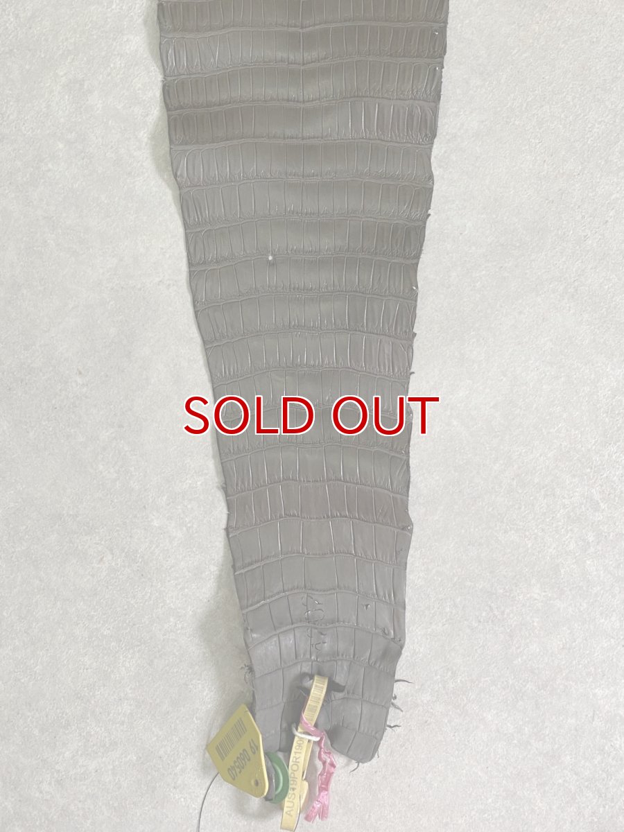 画像7: スモールクロコダイル　ポロサス　グレー　30　ワニ革　鰐革 (7)
