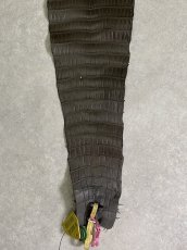 画像7: スモールクロコダイル　ポロサス　グレー　30　ワニ革　鰐革 (7)