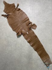 画像1: スモールクロコダイル　オーク　39 (1)